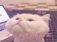 苏州墨哲根商贸有限公司
