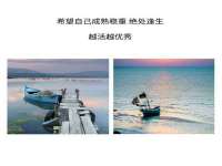 苏州墨哲根商贸有限公司