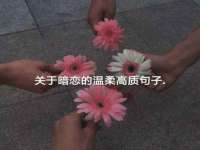 苏州墨哲根商贸有限公司
