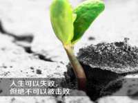 苏州墨哲根商贸有限公司