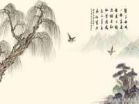 苏州墨哲根商贸有限公司