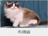 苏州墨哲根商贸有限公司