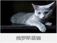 苏州墨哲根商贸有限公司