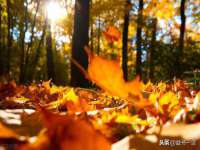 苏州墨哲根商贸有限公司