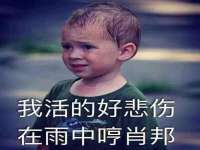 苏州墨哲根商贸有限公司