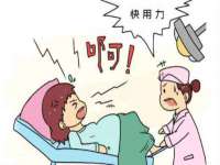苏州墨哲根商贸有限公司