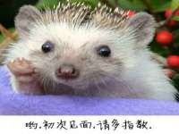 苏州墨哲根商贸有限公司