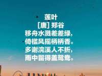 苏州墨哲根商贸有限公司