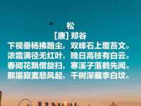 苏州墨哲根商贸有限公司