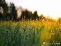 苏州墨哲根商贸有限公司