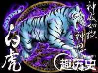 苏州墨哲根商贸有限公司