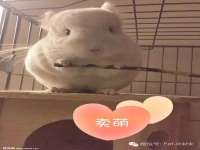 苏州墨哲根商贸有限公司