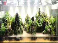苏州墨哲根商贸有限公司