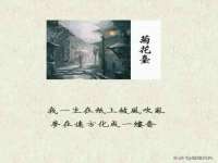 苏州墨哲根商贸有限公司