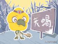 苏州墨哲根商贸有限公司