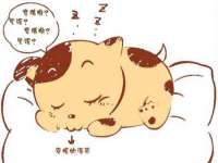 苏州墨哲根商贸有限公司