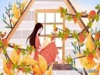 苏州墨哲根商贸有限公司