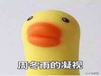 苏州墨哲根商贸有限公司