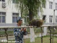 苏州墨哲根商贸有限公司