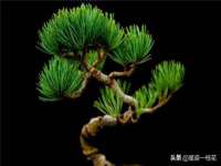 苏州墨哲根商贸有限公司
