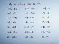 苏州墨哲根商贸有限公司